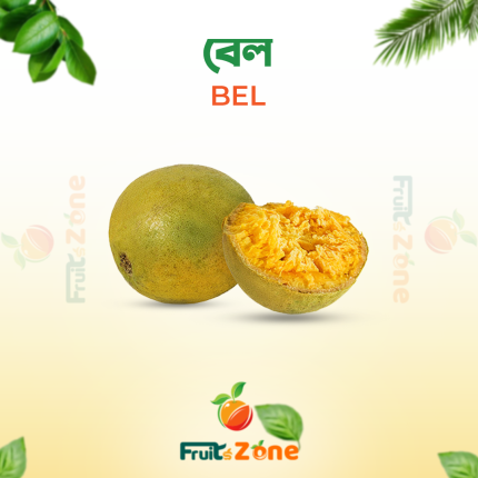 বেল – Bel (Wood Apple) Wood Apple Price in Bangladesh